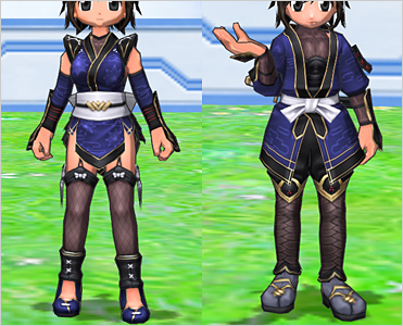 Ninja Costumes (Bottom)